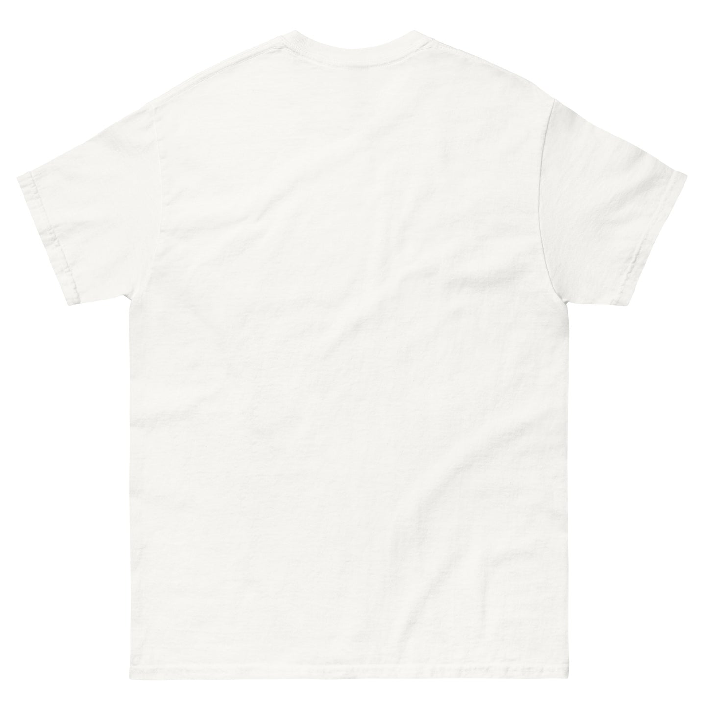 NTSC-J Unisex classic tee